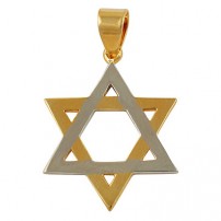Two Tone Star of David Necklace